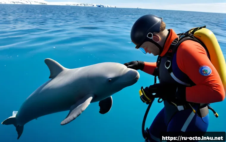 Home 17 옥토넛 대사의 감동적인 순간 - Photorealistic underwater rescue team in colorful diving suits gathered around a rescued baby beluga...
